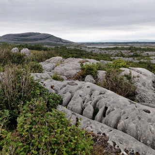 Afbeelding voor The Burren in Ierland