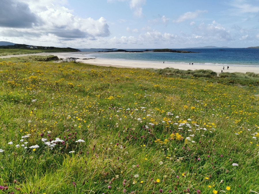 Stranden Westkust Ierland