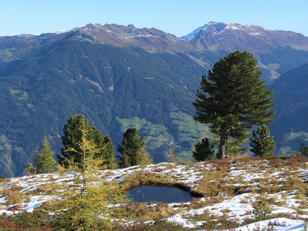 Alpbachtal