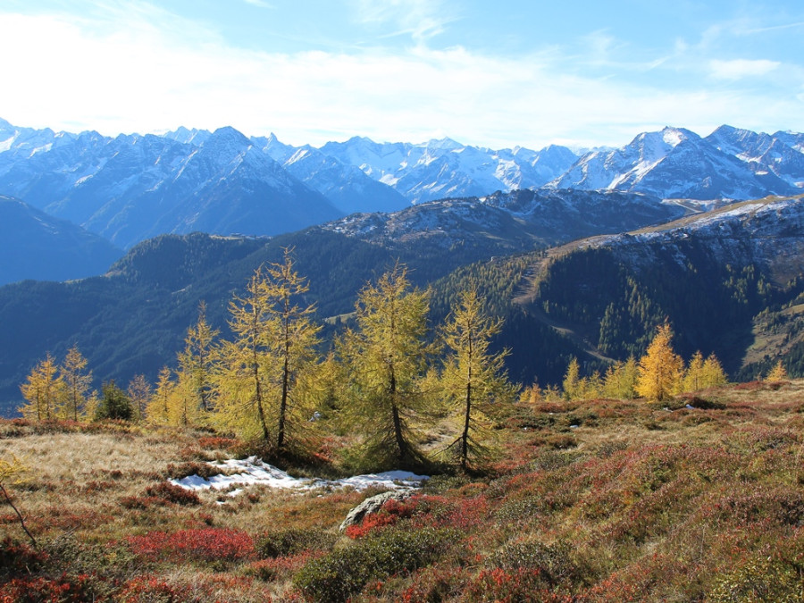 Herfst in Tirol