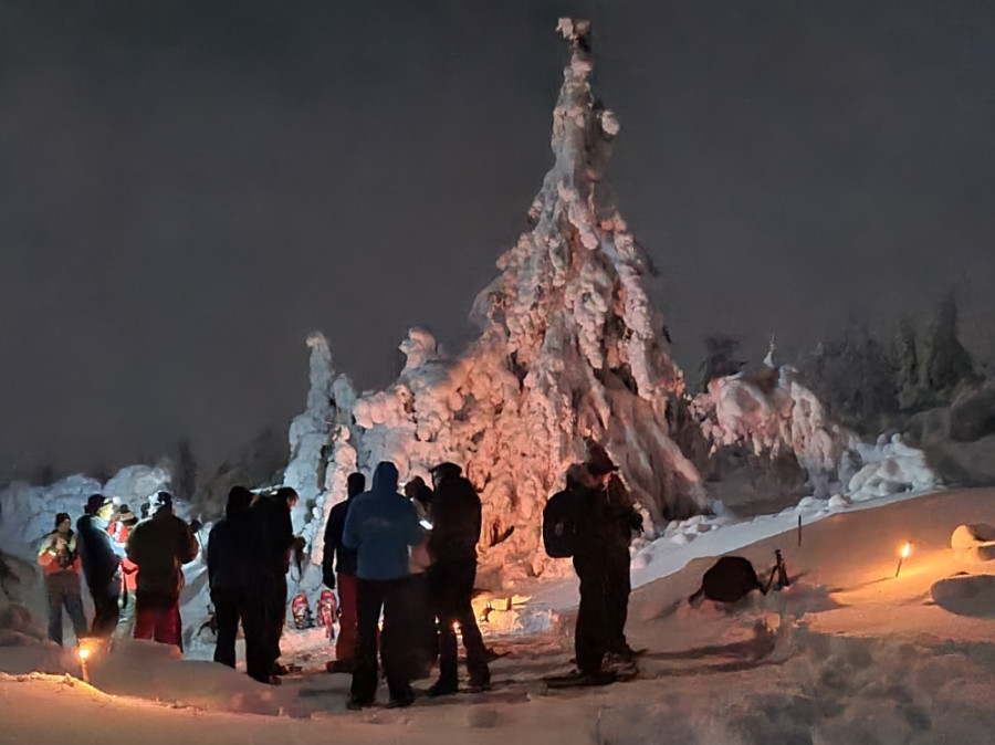 Magic snow shoe walk