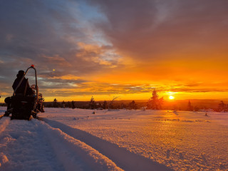 Afbeelding voor Sneeuwscootertocht