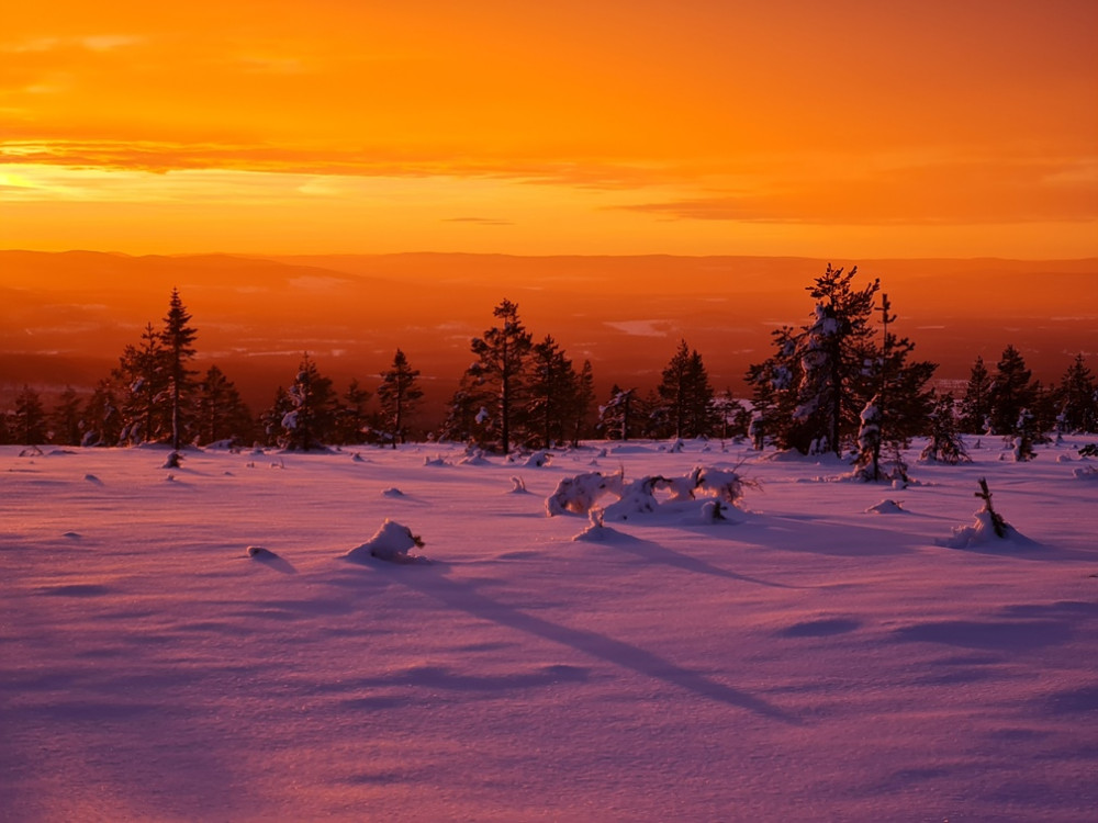 Zonsondergang