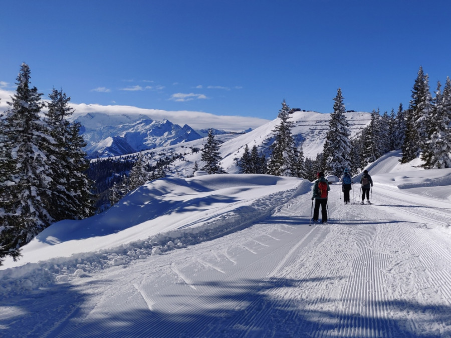 Winterwanderweg 28