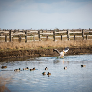 Afbeelding voor Hortobágy Nationaal Park