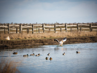 Afbeelding voor Hortobágy Nationaal Park