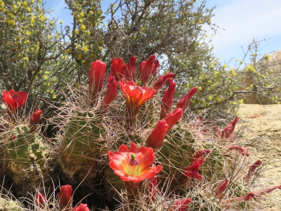 Hidden Valley Nature Trail