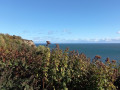 Cleveland Way Trail