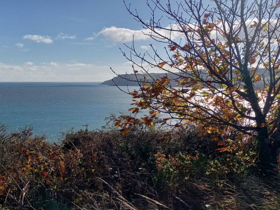 Cleveland Way Trail oostkust