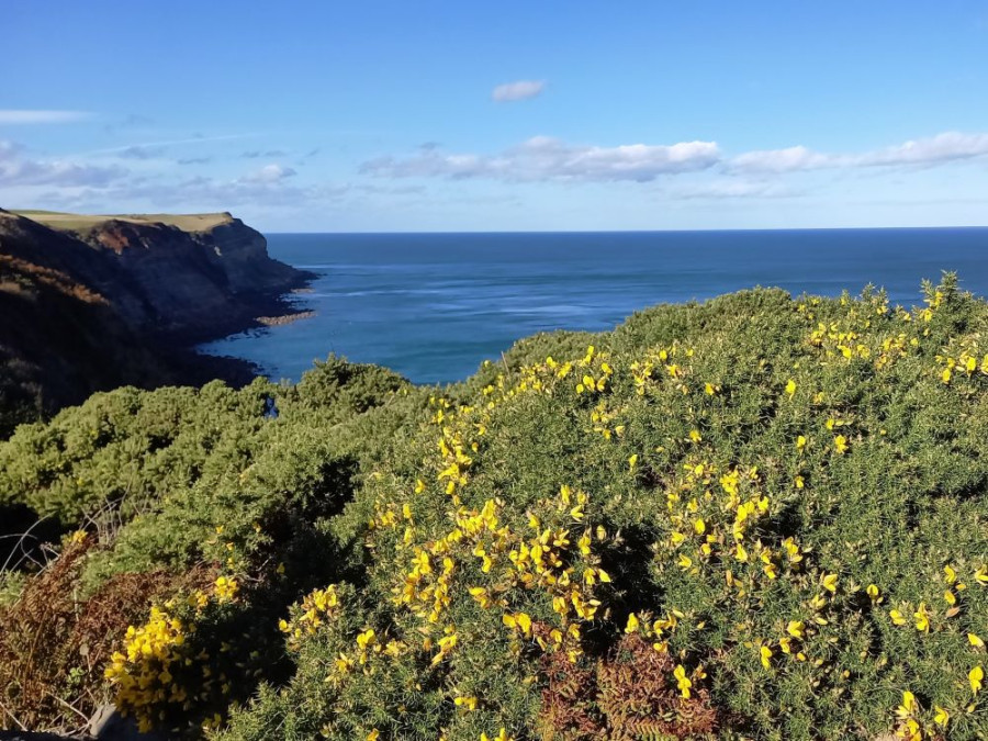 Wandelen over de Cleveland Way