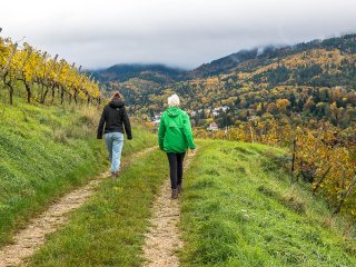 Afbeelding voor Wijnwandelen