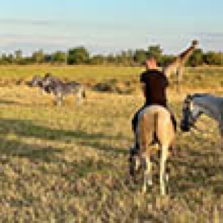 Afbeelding voor 1-2 Travel Africa - Paardrijden Malawi