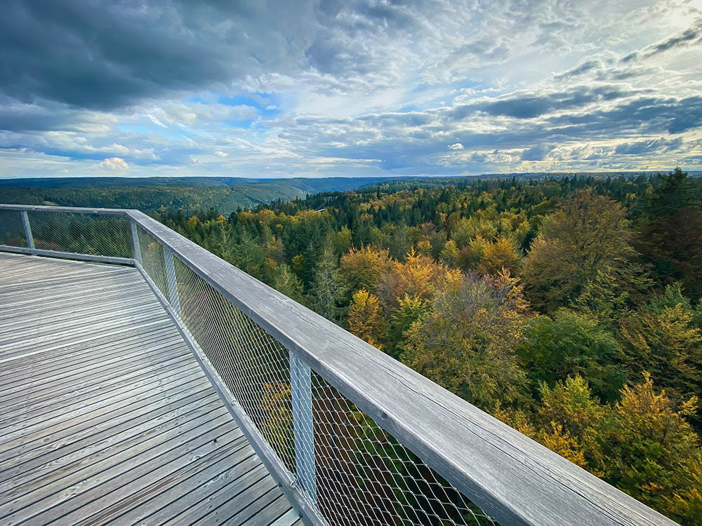 Baumwipfelpfad Zwarte Woud