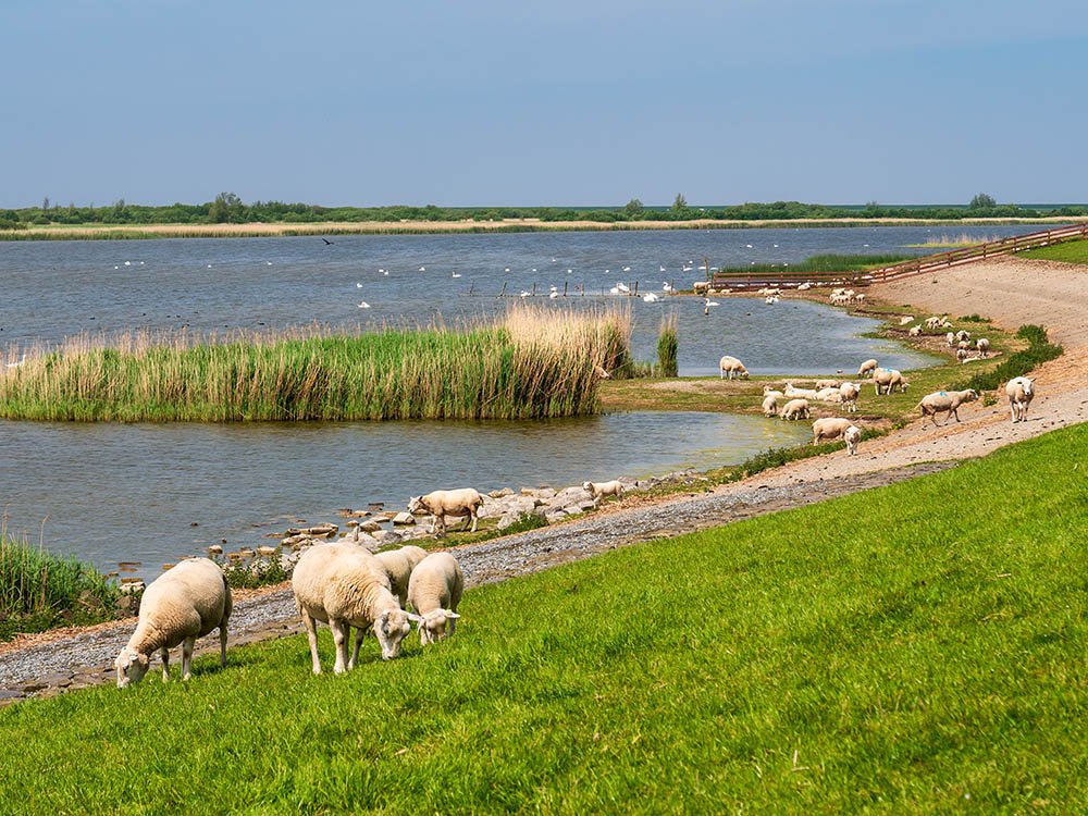Milieuvriendelijke vakantie Friesland