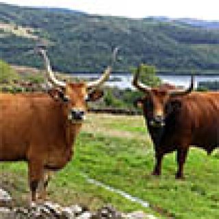 Afbeelding voor STAP Reizen - Wandelvakantie Noord-Portugal