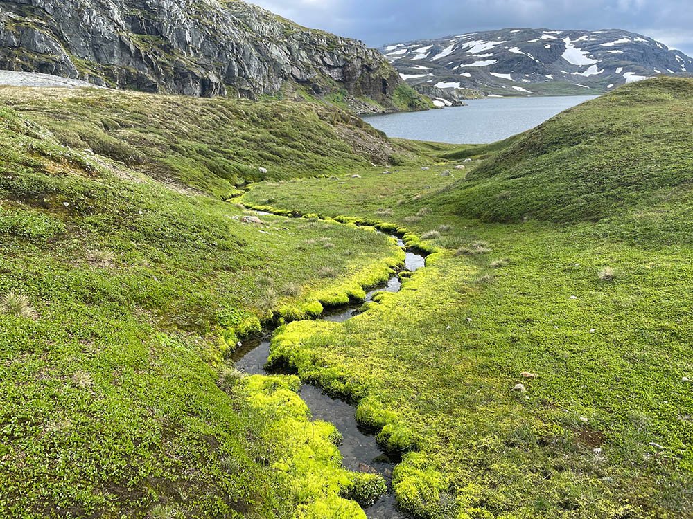 Hardangervidda