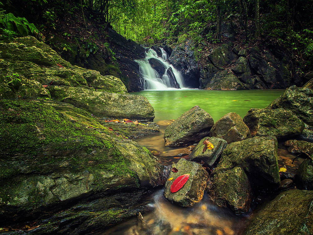 Natuurschoon op Trinidad