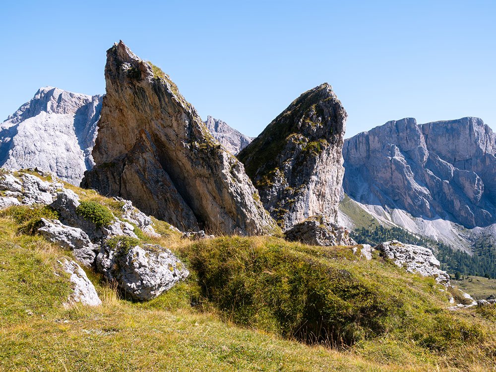 Pieralongia bij Seceda
