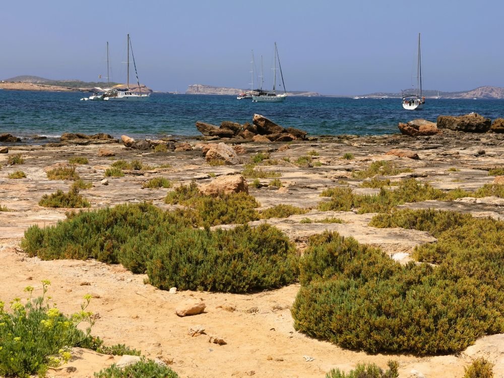 Bootjes bij Ibiza