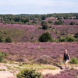 Afbeelding voor Nationale parken in Nederland