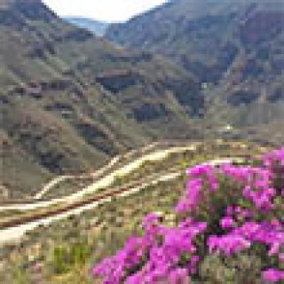 Afbeelding voor GetYourGuide - Swartbergpas tour