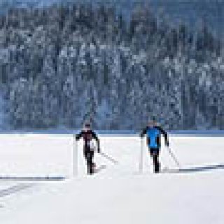 Afbeelding voor GetYourGuide - Langlaufen in Rovaniemi