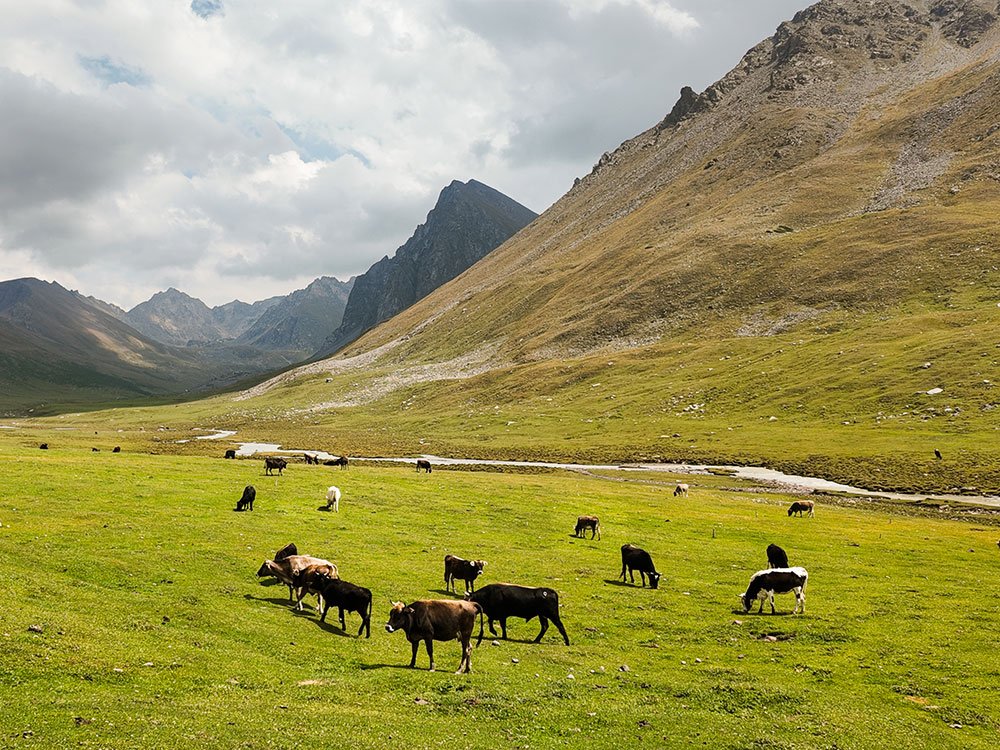Trektocht Kirgizië
