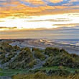 Afbeelding voor Pharos Reizen - Hotel Blankenberge