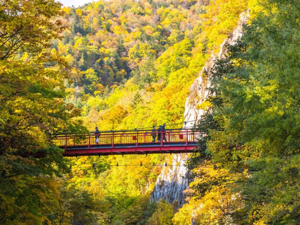 Jozankei Futami Suspension Bridge