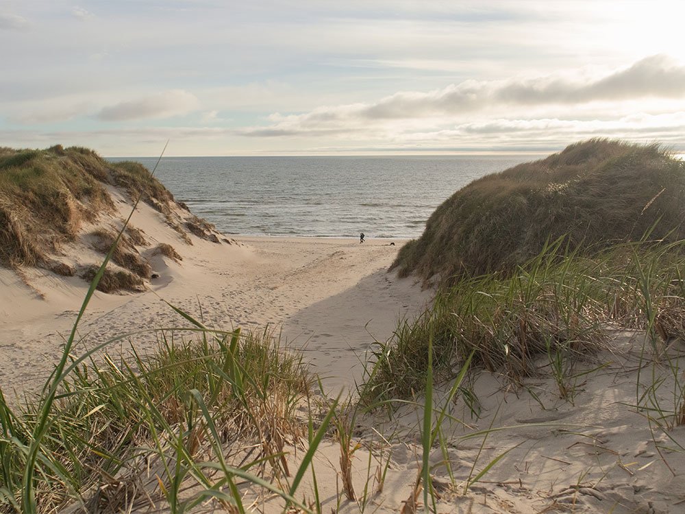 Natuur in Denemarken