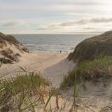 Afbeelding voor Denemarken