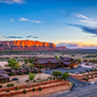 Afbeelding voor Desert Rose Resort & Cabins