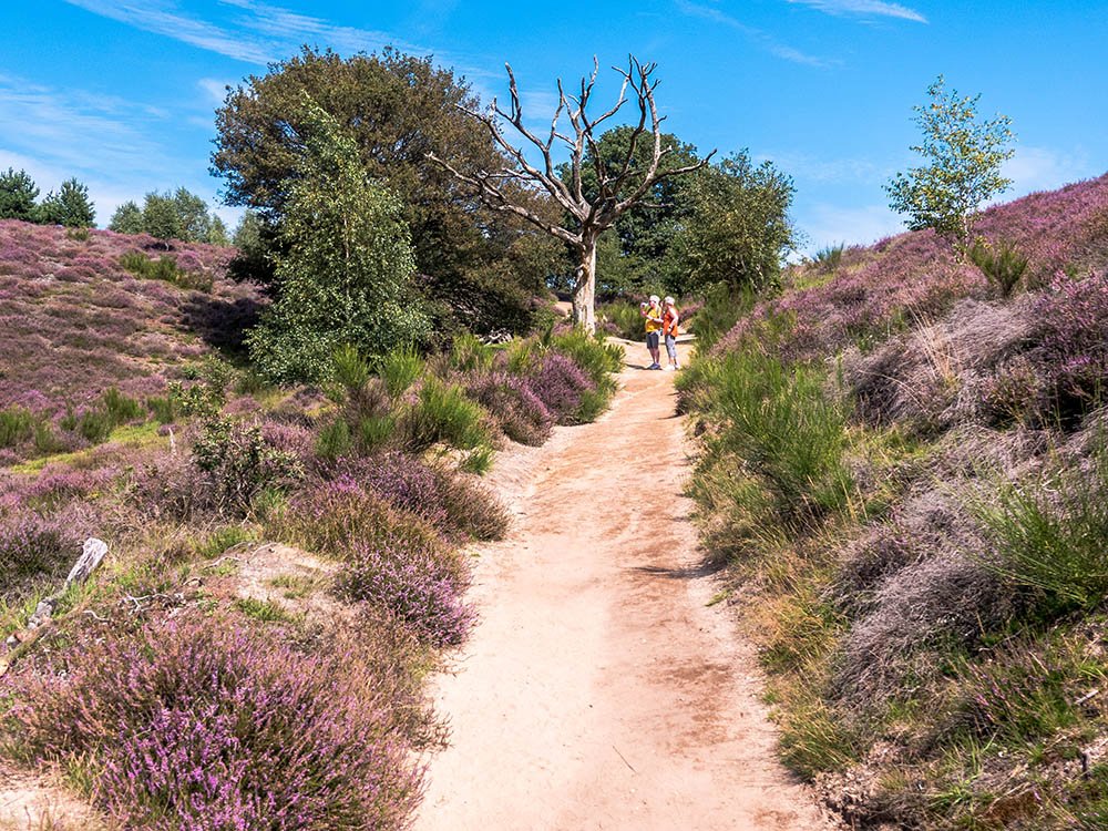 Wandelen op de Posbank