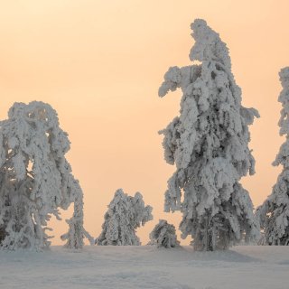 Afbeelding voor Riisitunturi Nationaal Park