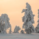 Afbeelding voor Riisitunturi Nationaal Park