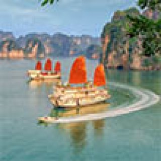 Afbeelding voor Fox - Rondreis Vietnam