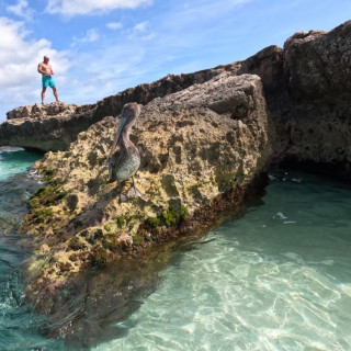 Afbeelding voor Aruba