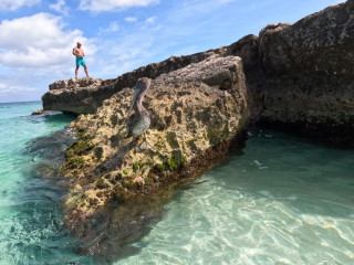 Afbeelding voor Aruba