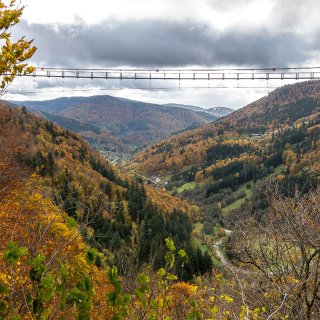 Afbeelding voor Zwarte Woud