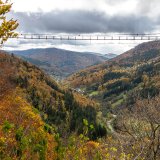 Afbeelding voor Zwarte Woud