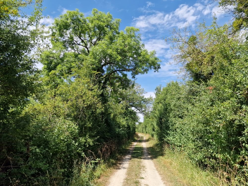 Parc naturel Lorraine