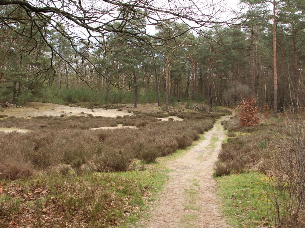 Wandelroute bij Coldenhove