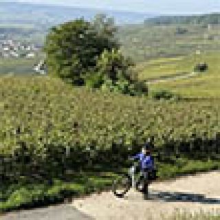 Afbeelding voor Better Places - Fietsvakantie Champagne