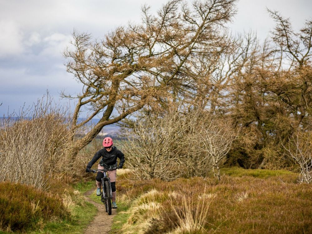 Mountainbiken