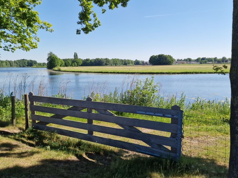 Maas