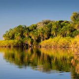 Afbeelding voor wAARDEvol reizen in Botswana