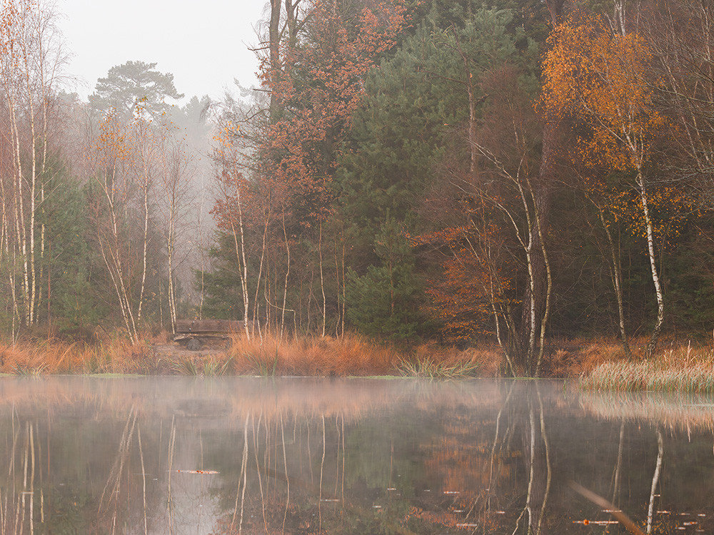 Venrode in de herfst