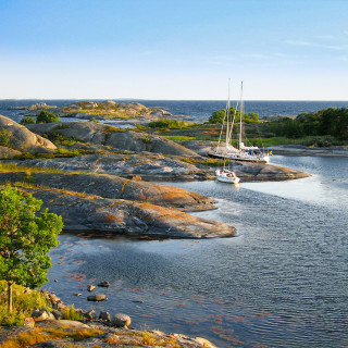 Afbeelding voor Natuur bij Stockholm