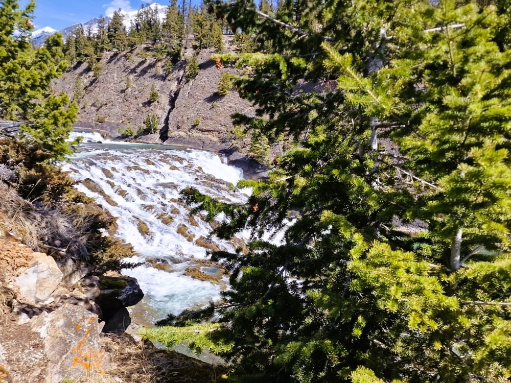 Alberta natuur