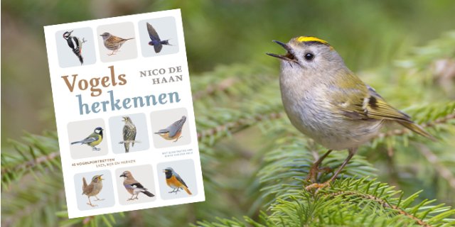 Afbeelding voor Win het boek Vogels herkennen